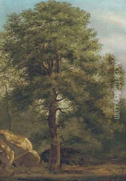 Forest scene Oil Painting - Ivan Shishkin