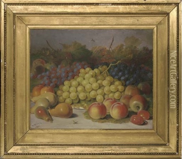 Grapes, Pears, Peaches And Apples, With Plums To The Side Oil Painting - Abel Hold