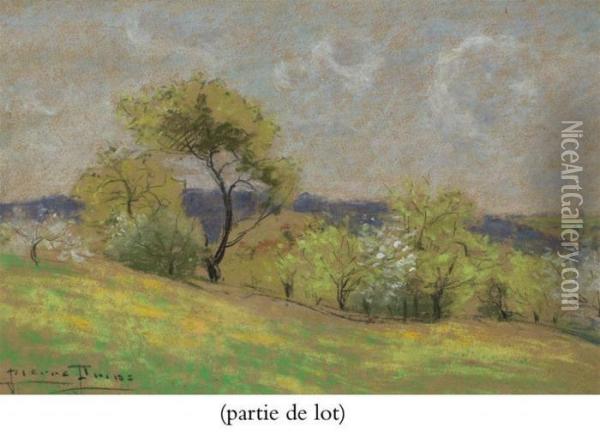 Arbres En Fleur Dans Une Prairie Oil Painting - Pierre Ernest Prins