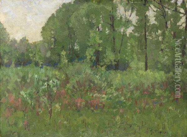 Sommerlicher Waldrand Oil Painting - Gustav Marx