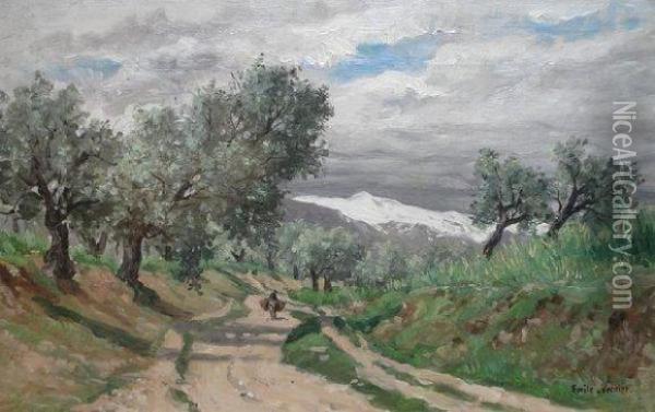 A Dos De Mulet Sur La Route, A Travers Les Oliviers Oil Painting - Emile Louis Vernier