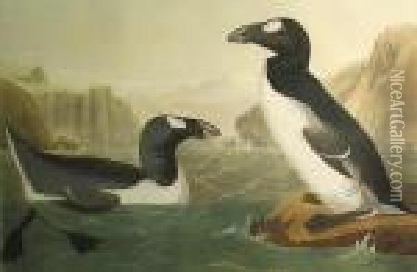 Great Auk Oil Painting - John James Audubon