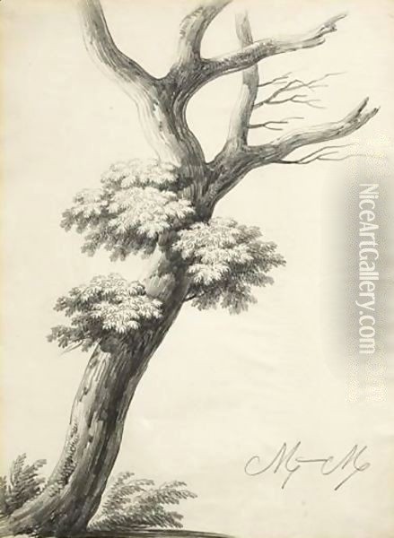 Study Of A Tree Oil Painting - Alphonse Nicolas Michel Mandevare