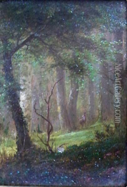 Forest Interior With Deer Oil Painting - Herman Geyer