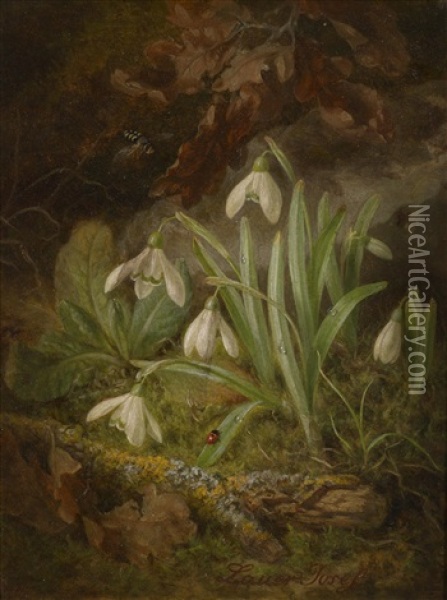 Waldbodenstuck Mit Schneeglockchen Oil Painting - Josef Lauer