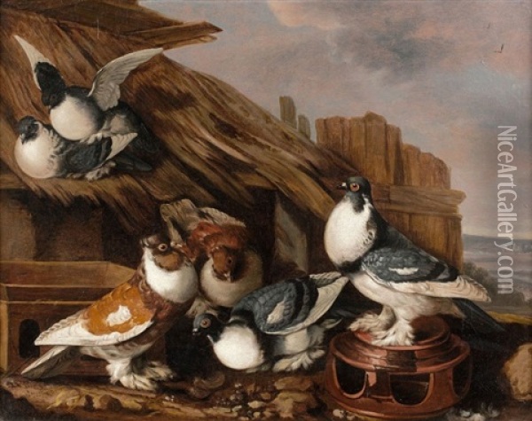 Pigeons Sur Un Toit Oil Painting - Giacomo (Jacobus) Victors