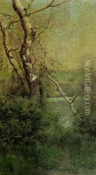 Birch In A Landscape Oil Painting - Emilio Sanchez-Perrier