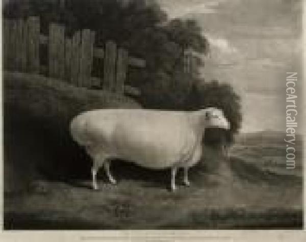 The Worcestershire Ewe Oil Painting - Joseph Mallord William Turner