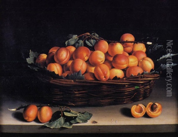 Le Panier D'abricots Oil Painting - Louise Moillon