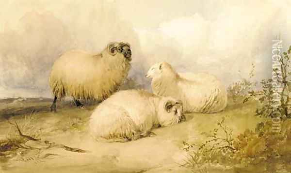 Two rams and a ewe Oil Painting - Thomas Sidney Cooper