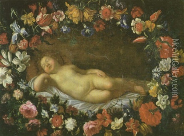 Schlafender Putto In Einem Blutenkranz Oil Painting - Elisabetta Sirani