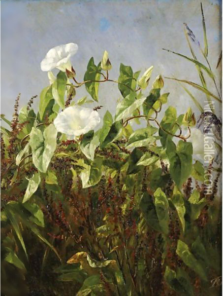 Morning Glories Oil Painting - Anthonore Christensen