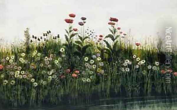Poppies Daisies and Thistles on a River Bank Oil Painting - Andrew Nicholl