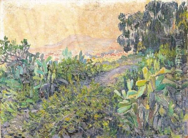 Santa Cruz De Tenerife (1914) Oil Painting - Juliette Wytsman