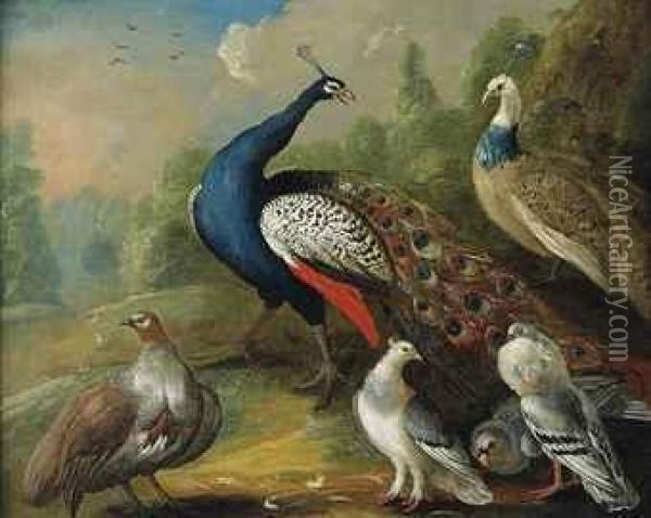 A Peacock And Other Birds In A Wooded Landscape Oil Painting - Marmaduke Cradock