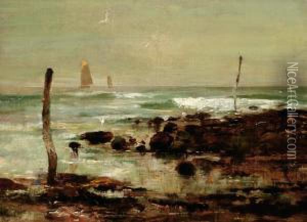 Seagulls On The Coast Oil Painting - Edwin Ellis