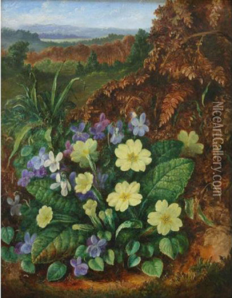 Primroses; Bell Heather Oil Painting - Albert Durer Lucas