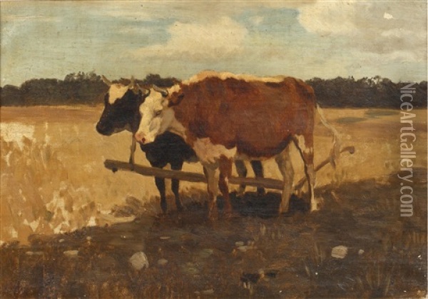 Study Of Cows In A Field Oil Painting - Anton Mauve
