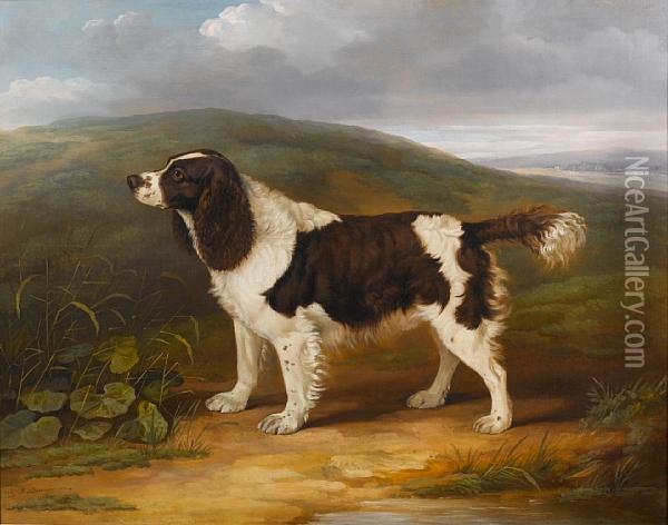 Bounce - A Liver And White Springer Spaniel In A Landscape Oil Painting - James Barenger