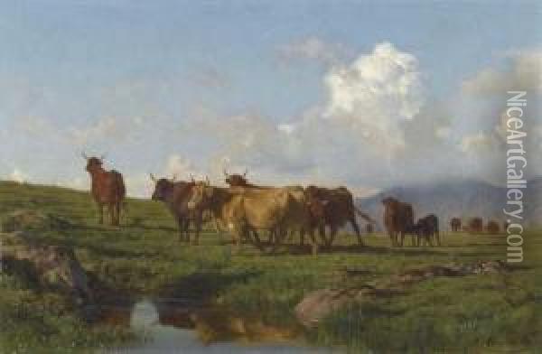 Cattle On A Meadow. Oil Painting - Auguste Bonheur
