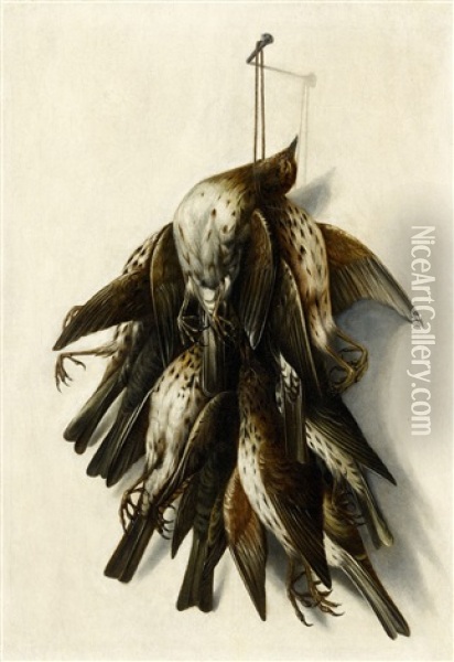 Still Life With Birds Oil Painting - Jacobus Biltius
