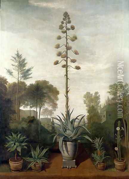 A Botanical Garden Oil Painting - Mathias Withoos