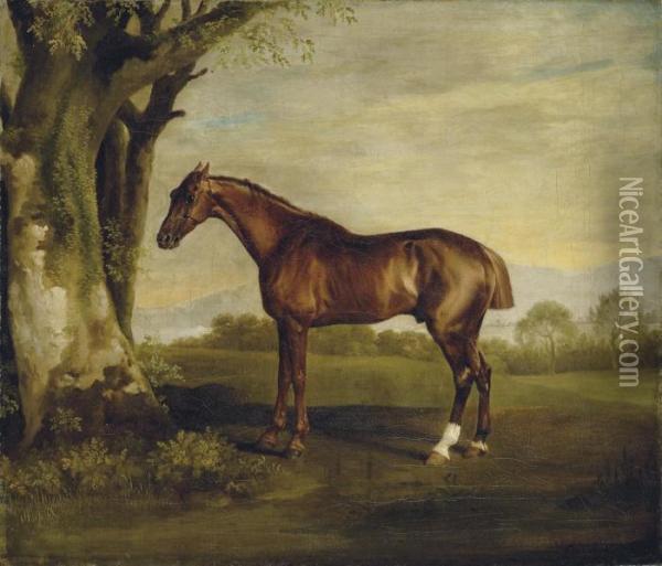 Antinous, A Chestnut Racehorse, In A Landscape Oil Painting - George Stubbs