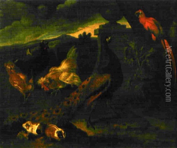 Paon Et Colailles Dans Un Paysage Oil Painting - Melchior de Hondecoeter