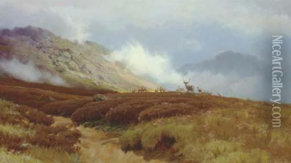 A Stag With Hinds In The Highlands Oil Painting - John Howard Lyon