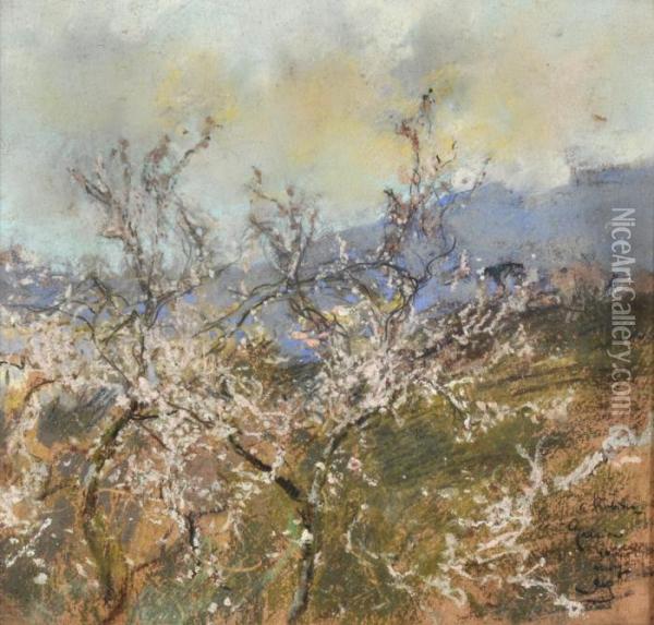 Primavera Oil Painting - Giuseppe Casciaro