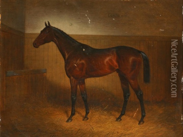 Galtee More, A Bay Horse In A Stable Oil Painting - John Alexander Harington Bird