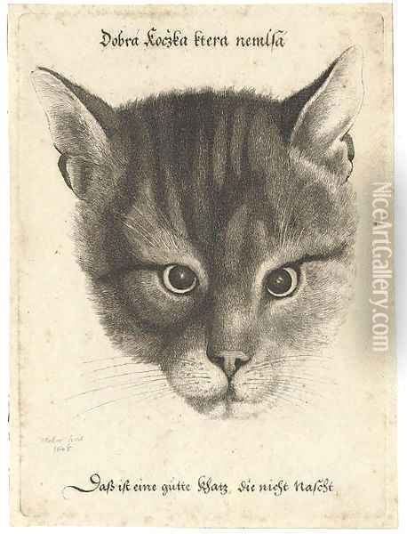 Head of a Cat Oil Painting - Wenceslaus Hollar