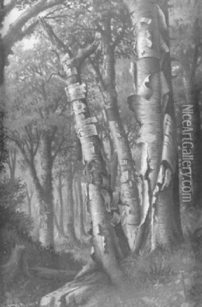 Silver Birches Oil Painting - Levi Wells Prentice