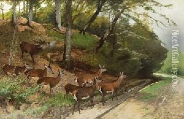 Hirsch Und Hirschkuhe An Einem
 Waldweg. Oil Painting - Christian Johann Kroner