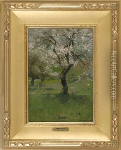 Apple Blossoms Oil Painting - Colin Campbell Cooper