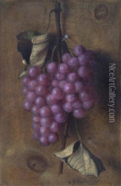 Hanging Grapes Oil Painting - Austin C. Wooster