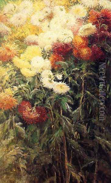 Chrysanthemums, Garden at Petit Gennevilliers Oil Painting - Gustave Caillebotte