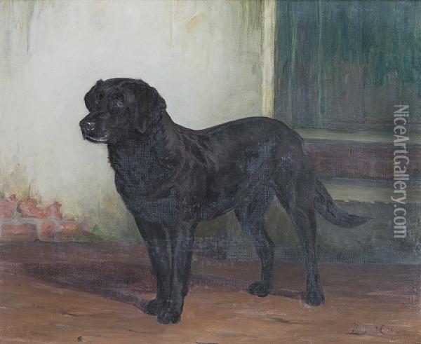 A Portrait Of A Black Labrador Oil Painting - Margaret Collyer