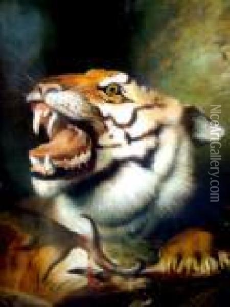 Tiger With It's Kill Oil Painting - Henry Barraud