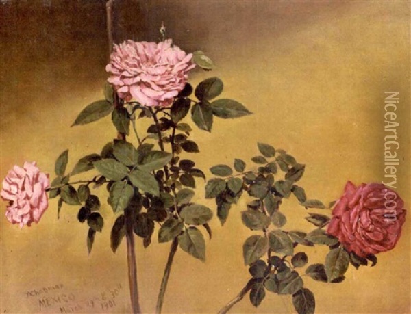 Rose Branches (+ Vase Of Roses, 1895; 2 Works) Oil Painting - Conrad Wise Chapman