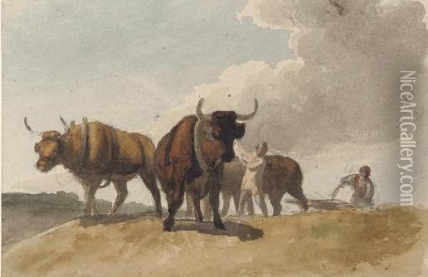 Oxen Ploughing Oil Painting - Robert Hills