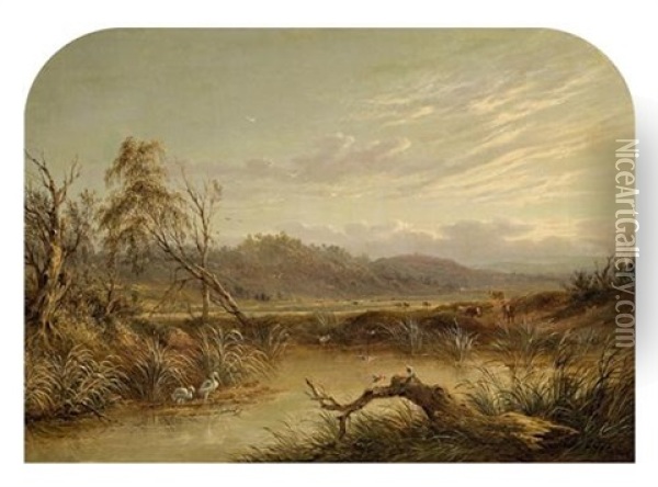 Swampy Landscape With Birds And Cattle Oil Painting - James Howe Carse
