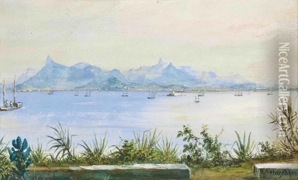 A View Across Guanabara Bay To Rio De Janeiro, From Central Niteroi Oil Painting - Friedrich Hagedorn