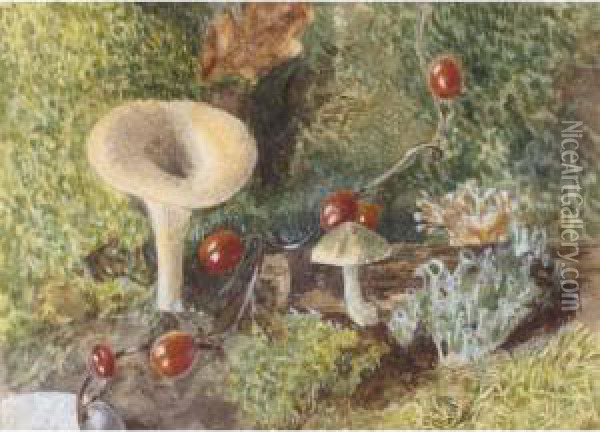 Toadstools Oil Painting - Jabez Bligh