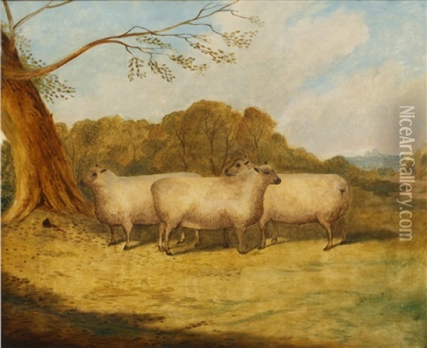 Sheep Before A Parkland Setting Oil Painting - Richard Whitford Jr.