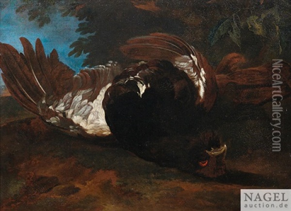 Jagdstilleben Mit Erlegtem Auerhahn Oil Painting - Philipp Ferdinand de Hamilton