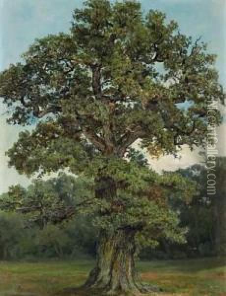 The Old Oak Oil Painting - Fritz Von Wille