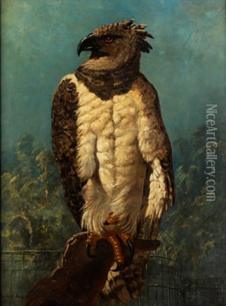 Adler In Felsenlandschaft Oil Painting - Ernest Henri Griset