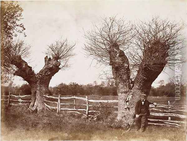 A Hedgerow Tree, 1852 Oil Painting - Benjamin Brecknell Turner