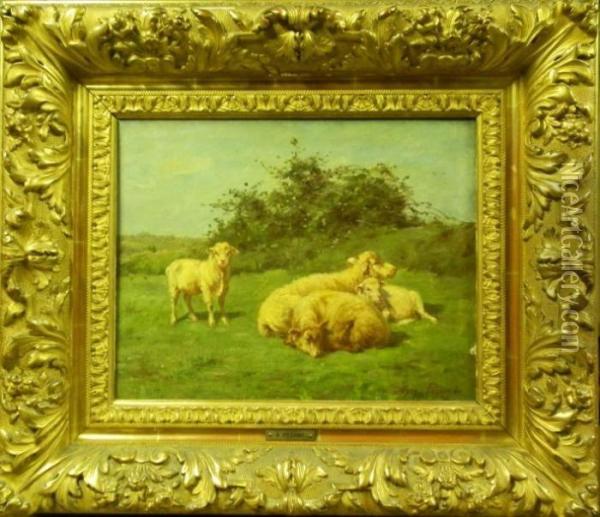Brebis Et Moutons Au Pre Oil Painting - Aymar Pezant